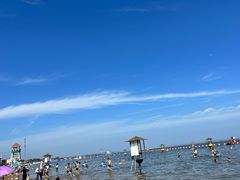 -碧海金沙