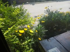 -春暖花开(西溪店)