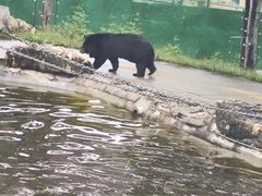 -栾川竹海野生动物园