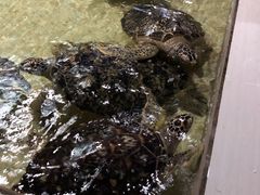 -常州海昌海洋探索馆
