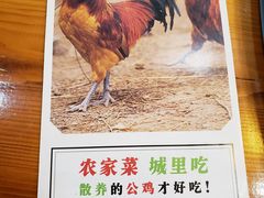 -锅来乐地锅鸡(安亭店)
