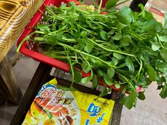 -司马街鸡煲(西华路店)