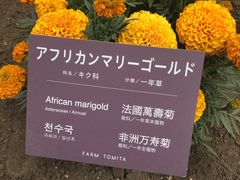 -富田农场