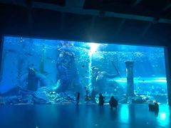 -哈尔滨波塞冬海底世界