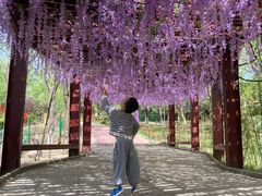 -西安汉城湖景区