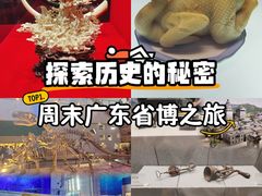-广东省博物馆