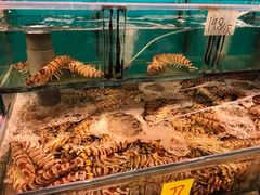 -鲜入围煮花胶鸡海鲜火锅