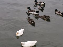 -粤湘情(珠海海泉湾店)