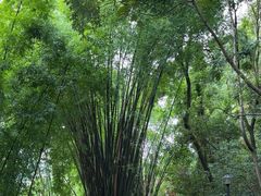 -乐山大佛风景名胜区乌尤寺南门-售票点