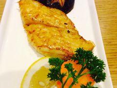 -青叶日式料理(飘亮阳光广场店)