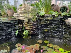 -国家植物园南园