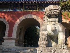 -灵谷景区