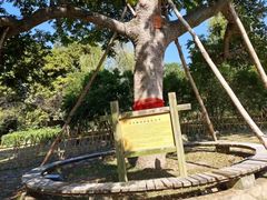 -福建鲤鱼洲酒店