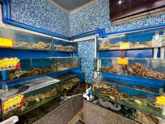 水产区-蚝专家(北滘店)