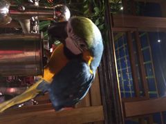 iphone_upload_pic-那家小馆•北京菜•烤鸭(中关村店)