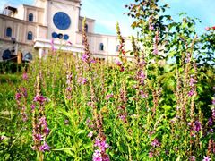 -丹世红酒庄·烧烤·团建·婚礼·水上运动