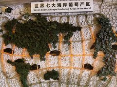 -青岛葡萄酒博物馆