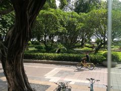 -广州都市观光巴士(粤陶巴)