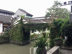 -王记海棠糕(新场古镇店)