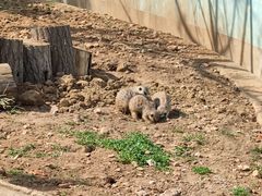 -无锡动物园·太湖欢乐园