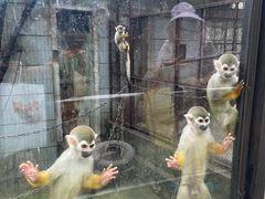 -昆明动物园