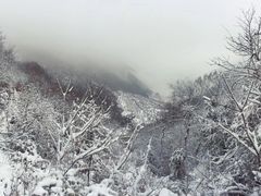 -宁波浙东大竹海景区