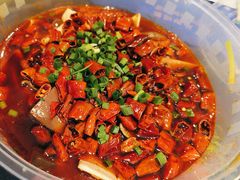 -院8里·少城记忆老川菜(宽窄巷子店)