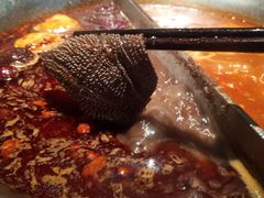 -湊湊火锅·茶憩(新中关购物中心店)