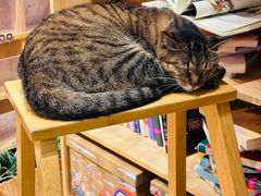 -猫的天空之城概念书店(杭州南宋御街店)