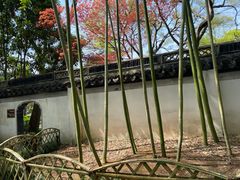 -秋霞圃