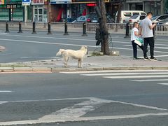 -面对面(长大店)