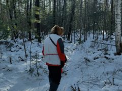 -峡谷浮石林景区