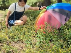 -北运河水利风景区