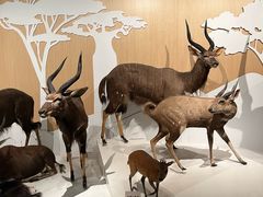 -陕西自然博物馆