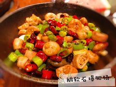 -老板恋上鱼(恒隆广场店)