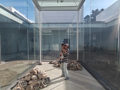 -金泽21世纪美术馆