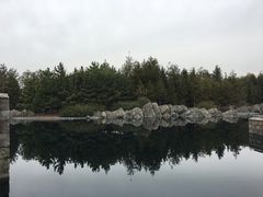 -哈利波特魔法世界