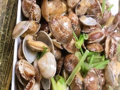 -人和啤酒屋海鲜大排档(营口路店)