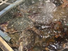 -沈家门海鲜夜排档(东港店)