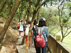 -秦岭天竺山景区
