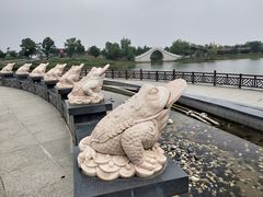 -金卉庄园