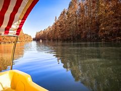 -上海海湾国家森林公园