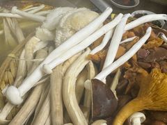 -菌极鲜野生菌火锅店(阳明祠店)