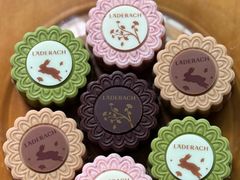 -Laderach 莱德拉(上海环贸iapm店)