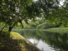 -上海共青森林公园