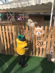 -萌宠亲子动物乐园(槐房万达店)