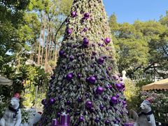 -火车头法国西餐厅