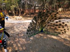 -西安秦岭野生动物园