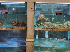 -启东海鲜人家(古美路店)