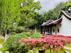 -岳麓山风景名胜区